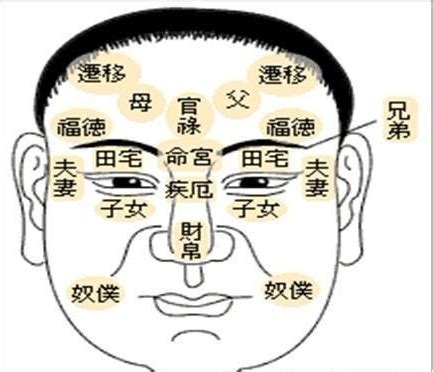 陰德紋長在何處|看看你自己積的「陰德紋」是否顯現